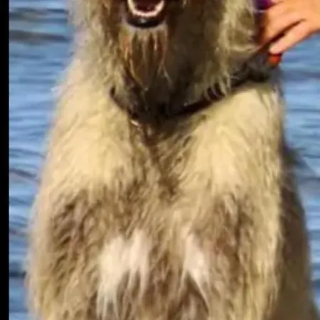 Apartman Schoenewohnung Mit Eigenem Gsrten Und Eingang *