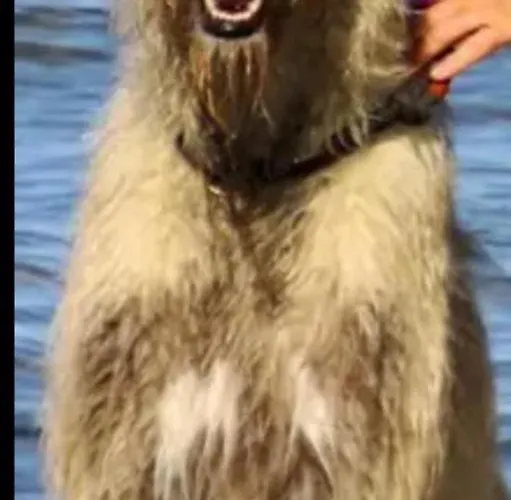 Appartement Schoenewohnung Mit Eigenem Gsrten Und Eingang *